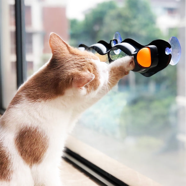 Pet Accessories Window Table Tennis Adsorption Glass Cat Toy Plastic Sucker New Funny Cat Educational Toys Track Toy Ball